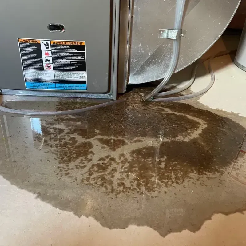 Appliance Leak Cleanup in Wynne, AR